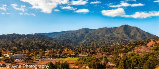 View of Tam over Hauke park, Mill Valley View of Tam over Hauke park, Mill Valley